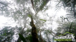 Mount Tambuyukon Expedition  